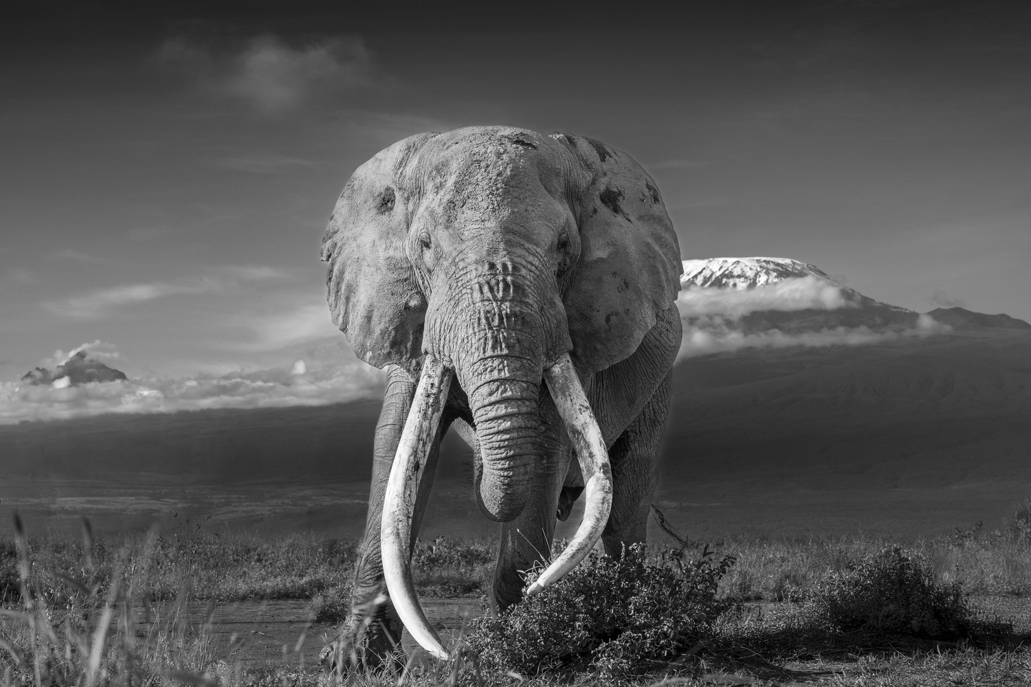 Nature Photography Contest