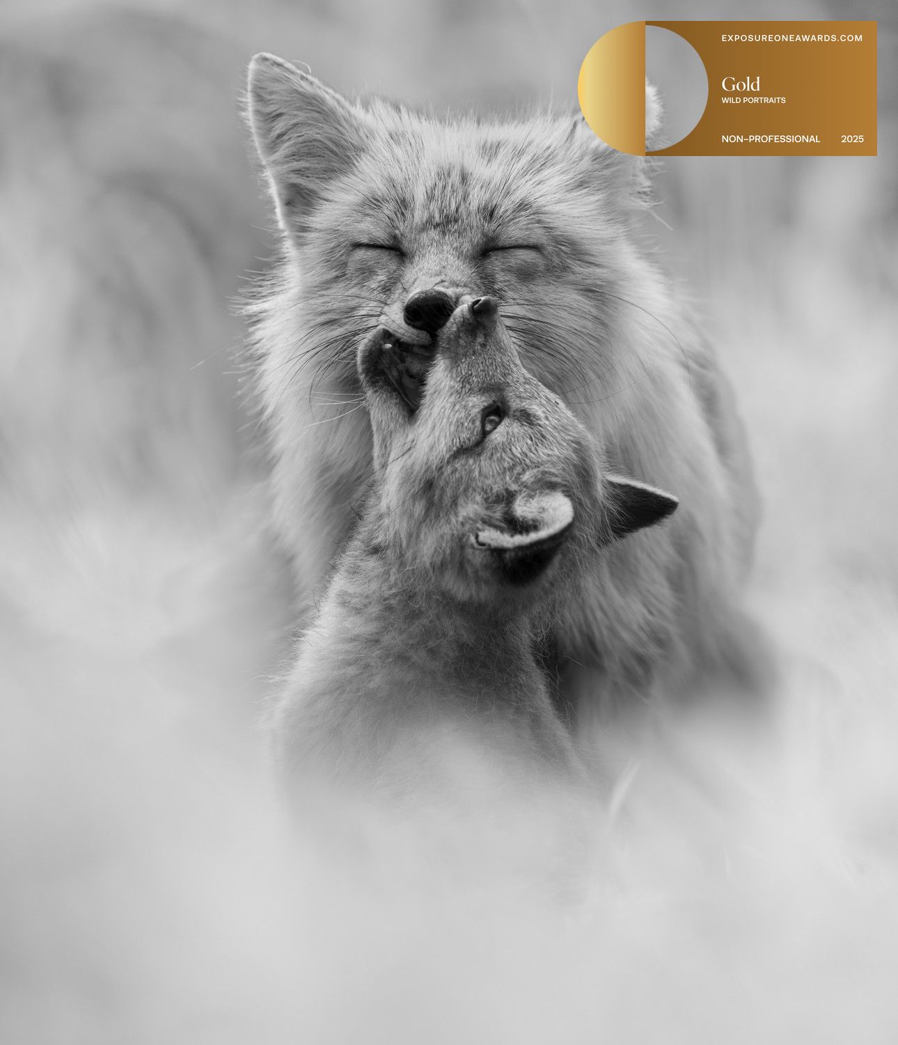 Exposure One Awards | Janet Gustin | 2025 Nature Photography