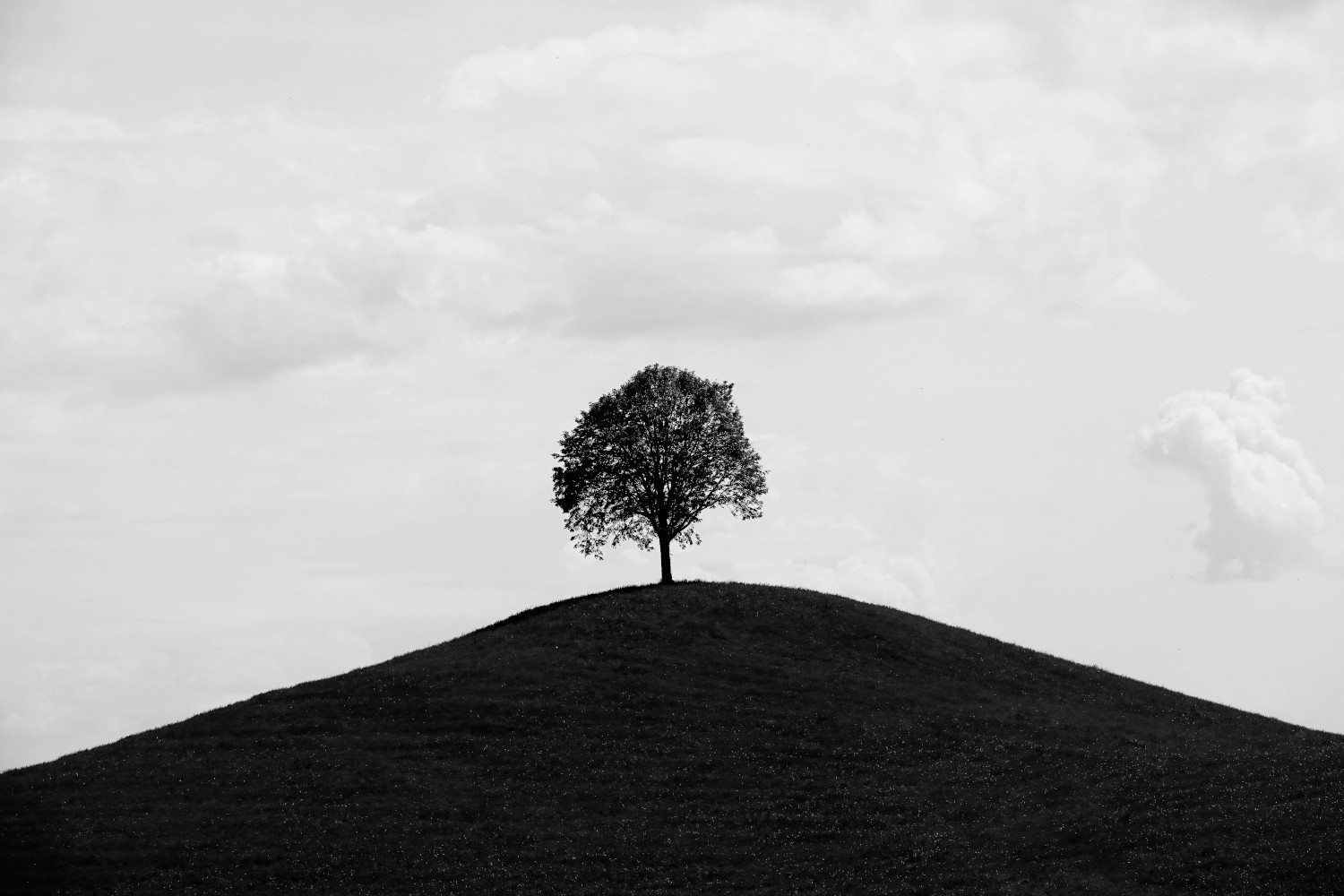 Nature Photography Contest