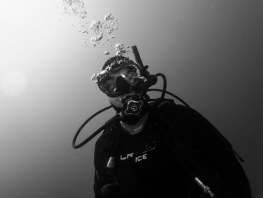 Federico Alfieri