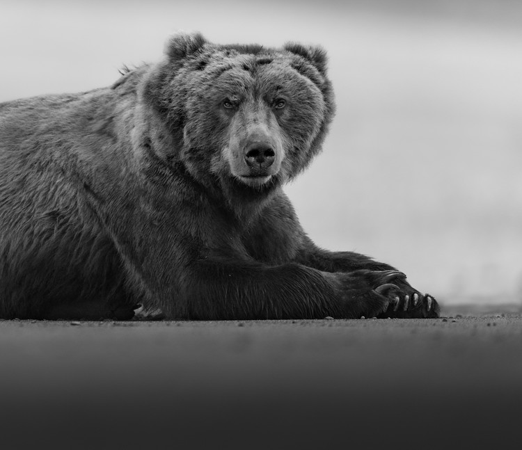 Exposure One Awards | Janet Gustin | 2025 Nature Photography